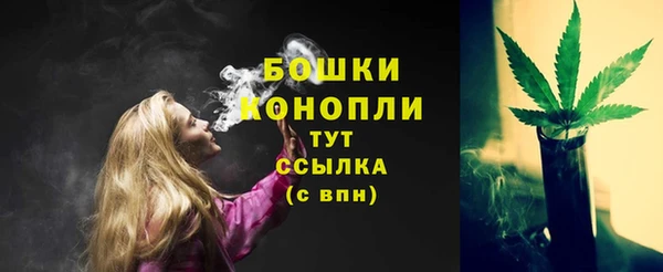 мдпв Бронницы