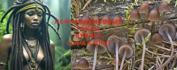 mix Бородино