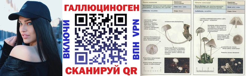 MEGA ONION  Кушва  Галлюциногенные грибы Psilocybe 